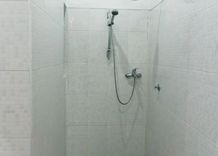 Srinadi 3*