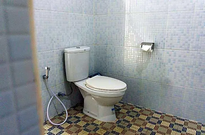 Srinadi 3*